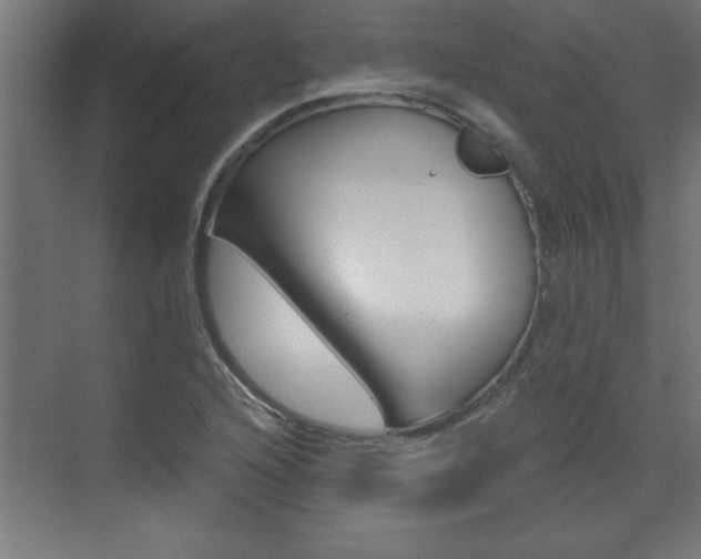 X0000072961216200607210956
