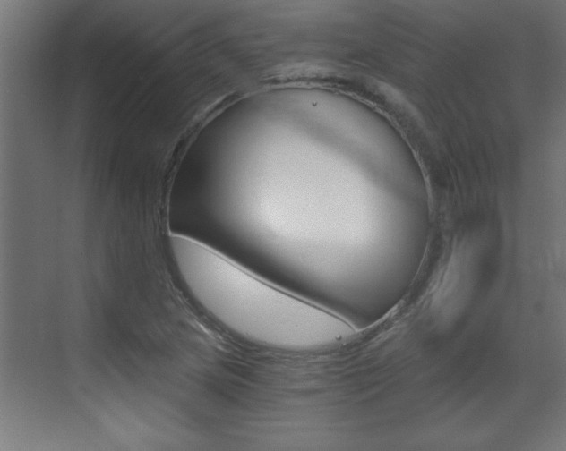X0000072961217200607210956