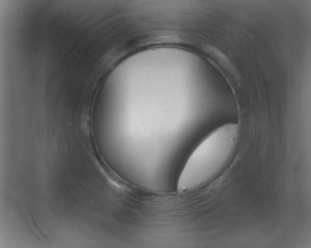 X0000072961225200607210956