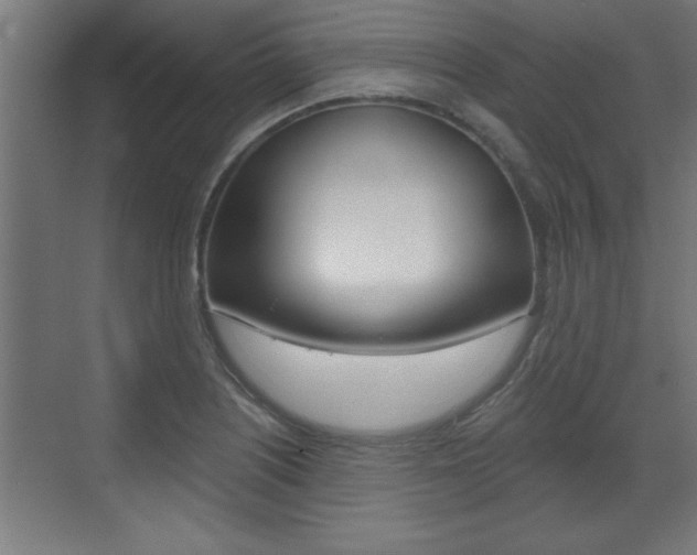 X0000072961226200607210956