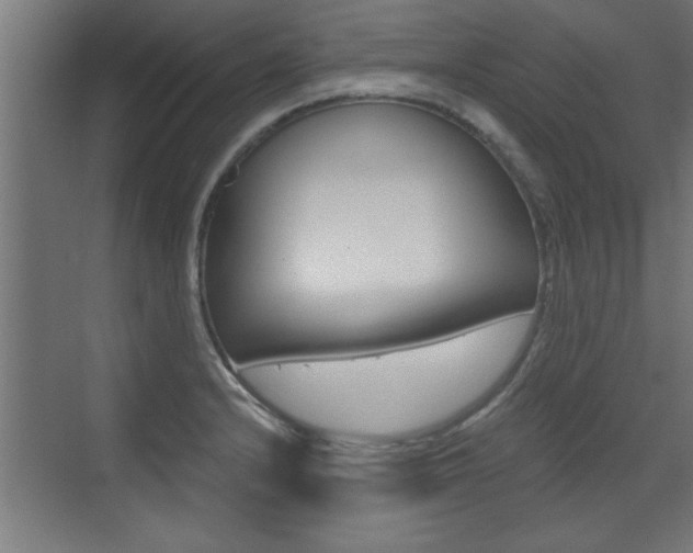 X0000072961232200607210956