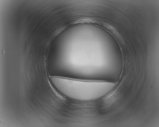 X0000072961233200607210956