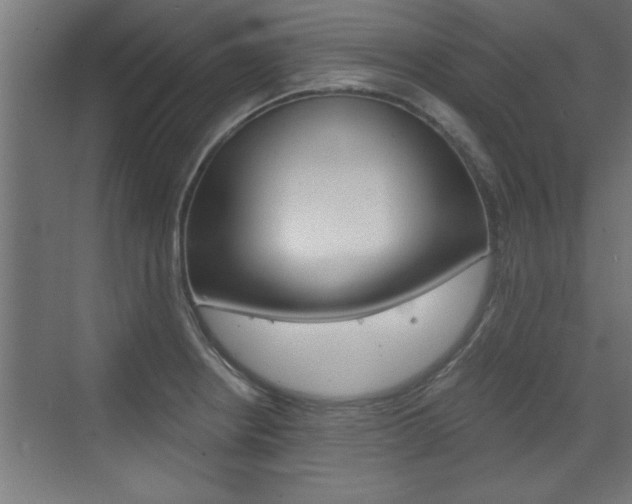X0000072961234200607210956