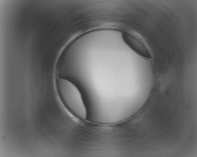 X0000072961235200607210956