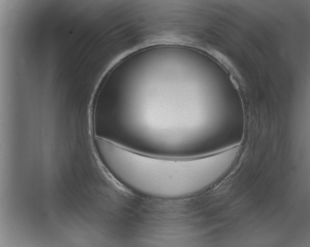 X0000072961238200607210956