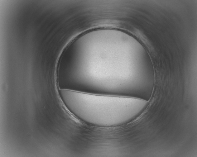 X0000072961240200607210956