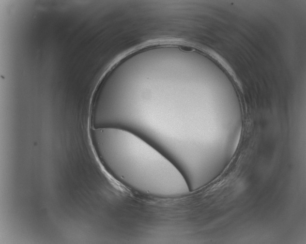 X0000072961245200607210956