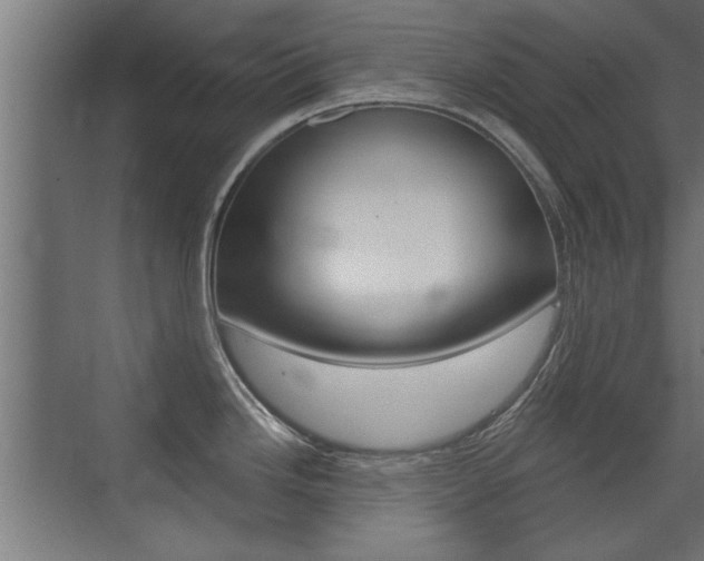 X0000072961246200607210956