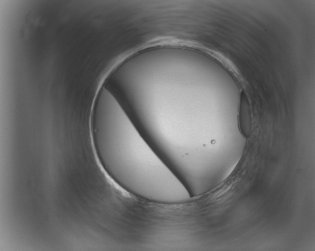 X0000072961247200607210956