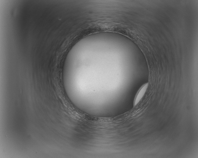 X0000072961249200607210956