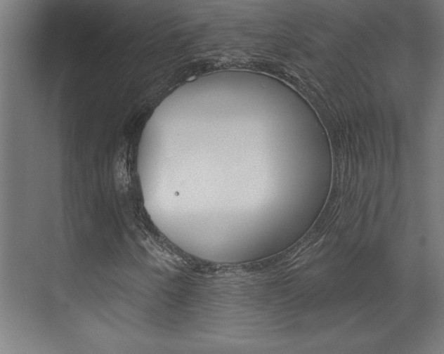 X0000072961250200607210956