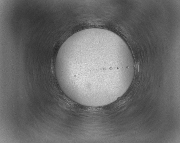 X0000072961251200607210955