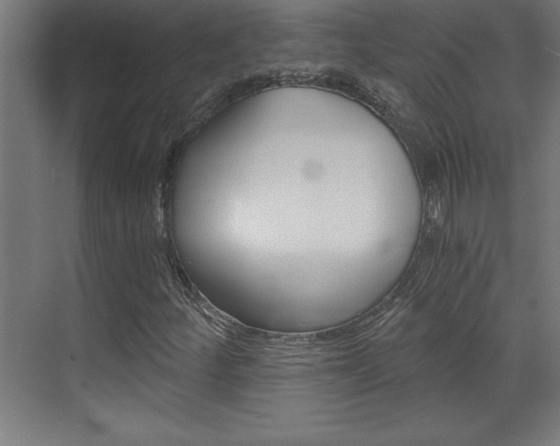 X0000072961252200607210955