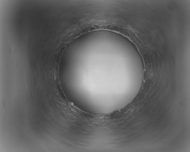 X0000072961253200607210955