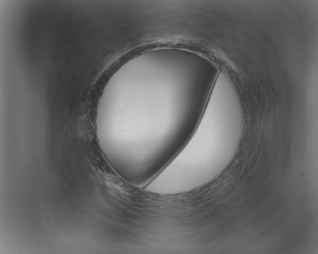 X0000072961256200607210955