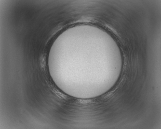 X0000072961258200607210955