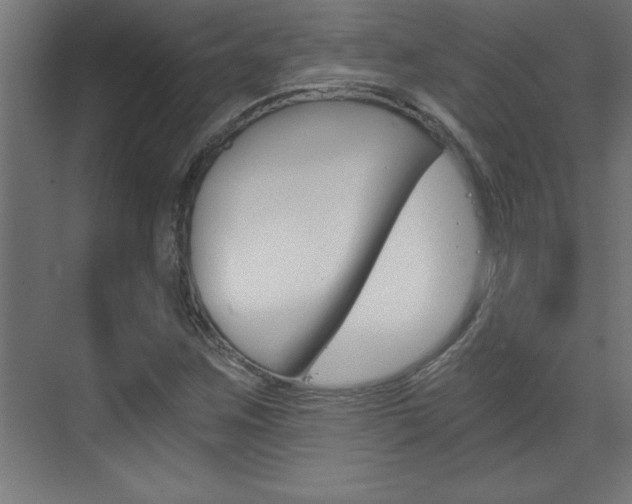 X0000072961259200607210955