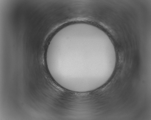 X0000072961262200607210955
