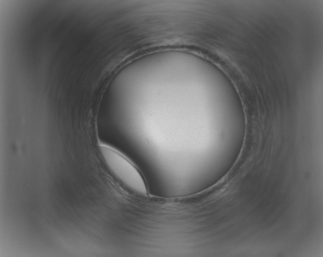 X0000072961265200607210955