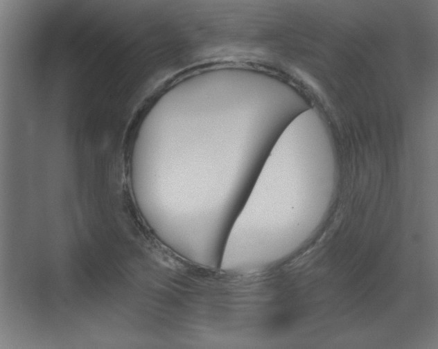 X0000072961267200607210955