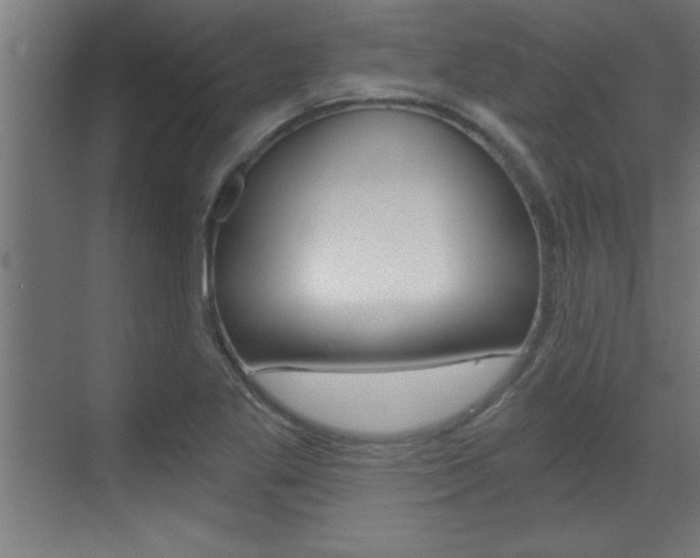 X0000072961269200607210955