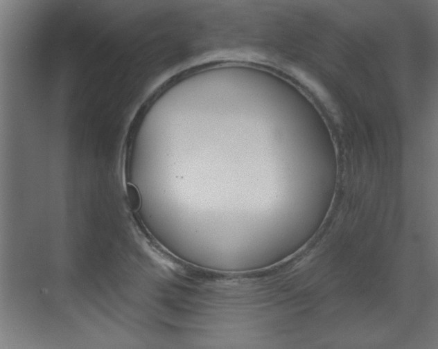 X0000072961272200607210955