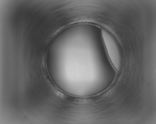 X0000072961273200607210955