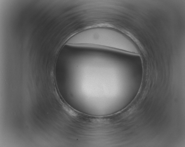 X0000072961281200607210955