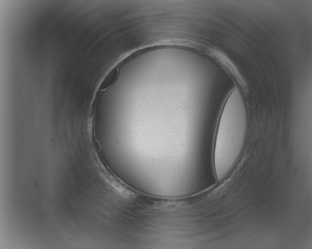 X0000072961284200607210955