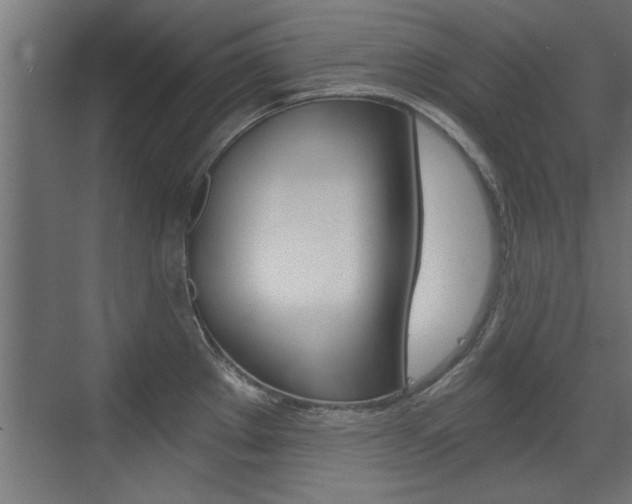 X0000072961289200607210955