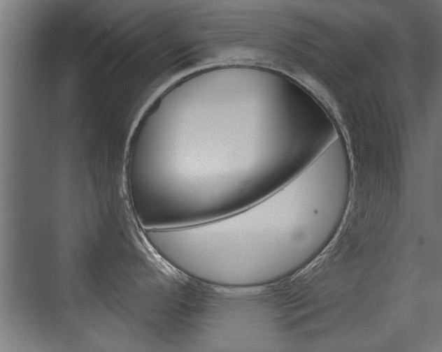 X0000072961296200607210955