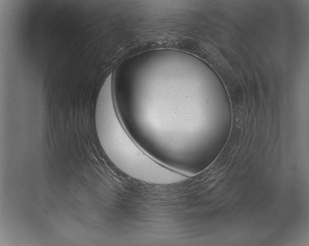 X0000072961298200607210954