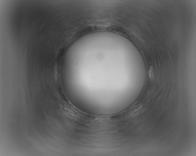 X0000072961299200607210954