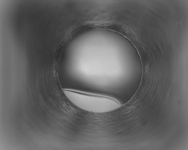 X0000072961300200607210954