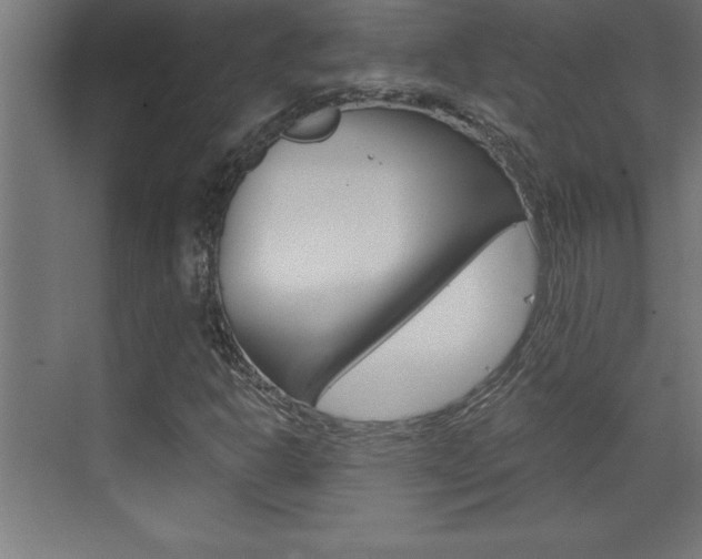 X0000072961302200607210954