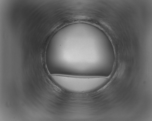 X0000072961305200607210954