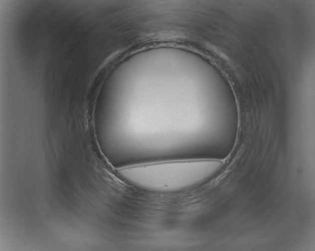 X0000072961306200607210954