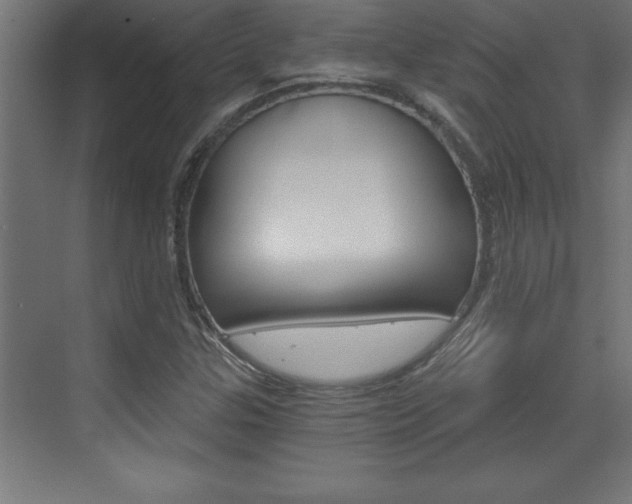 X0000072961307200607210954