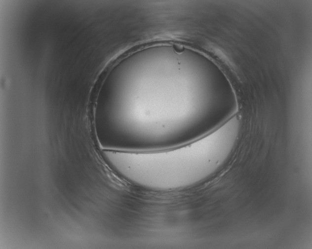 X0000072961308200607210954
