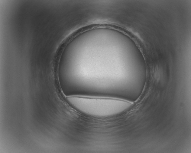 X0000072961311200607210954