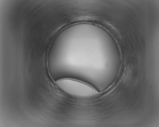 X0000072961313200607210954