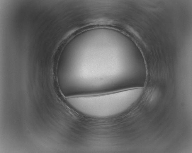 X0000072961315200607210954