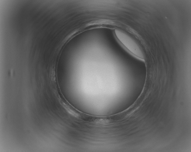 X0000072961321200607210954