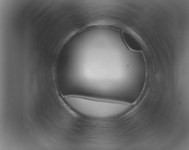 X0000072961329200607210954