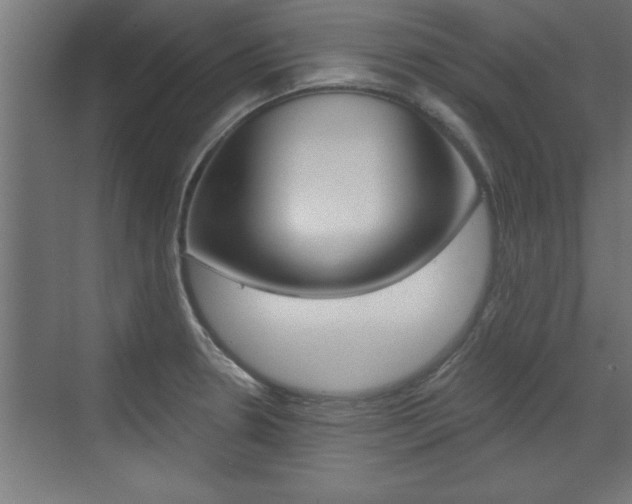 X0000072961330200607210954