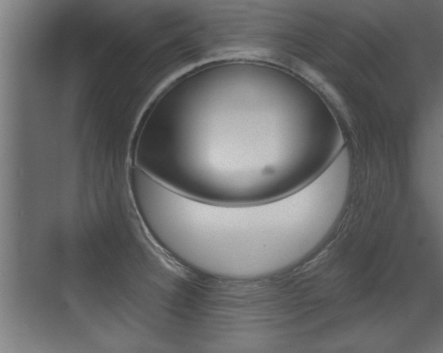 X0000072961332200607210955