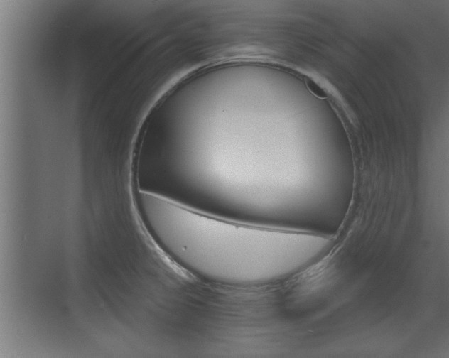 X0000072961333200607210955