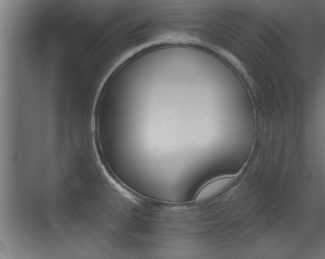 X0000072961335200607210955