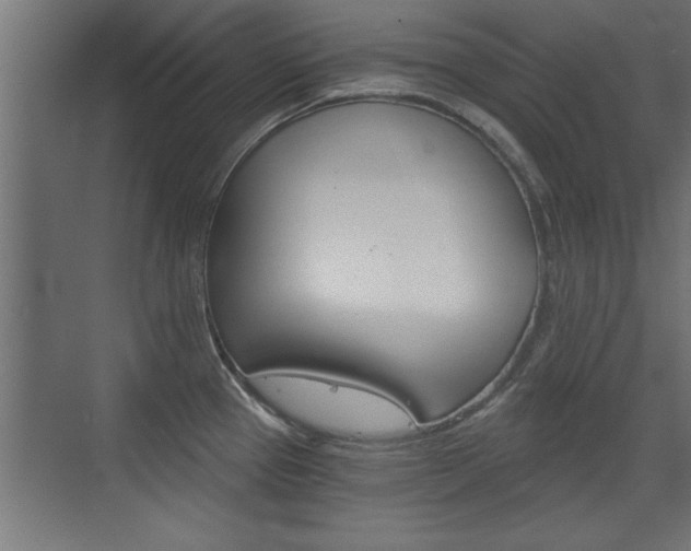 X0000072961337200607210955