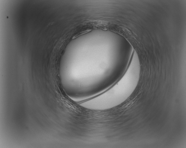 X0000072961345200607210954